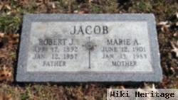 Robert J Jacob