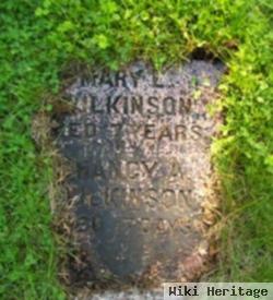 Mary E Wilkinson