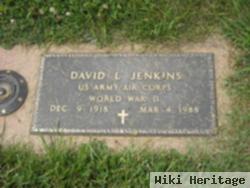 David Luther Jenkins