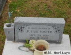 Julius Foster