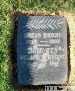 Nellie E Brown