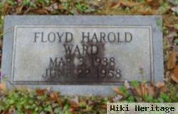 Floyd Harold Ward