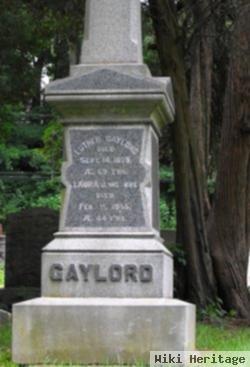 Laura J Gaylord