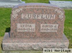 David J Zurfluh