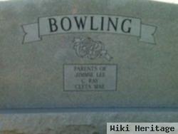 Mary Mildred Wilson Bowling