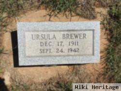 Ursula Montana Brewer