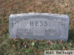 David S Hess