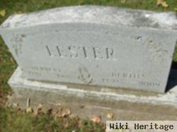 Herbert Lester