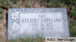 Herbert Copeland