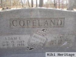 Mary Catherine "kate" Waters Copeland