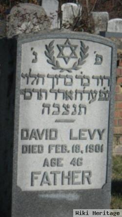 David Levy