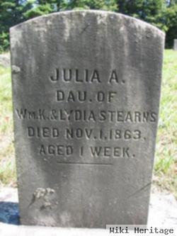 Julia A. Stearns