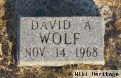 David August Wolf