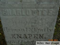 Charlotte E Knapen