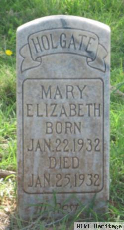 Mary Elizabeth Holgate