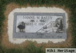 Shane M Batty