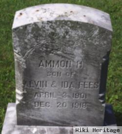 Ammon H Fees