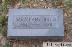 Sarah Amy Powers Hollis