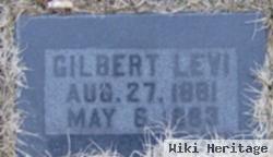 Gilbert Levi Belnap