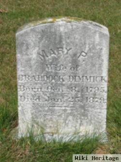 Mary P Dimmick