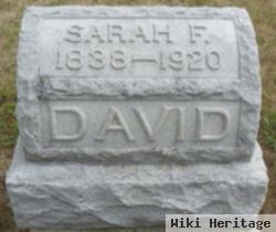 Sarah F David