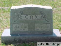 Luther P. Cox