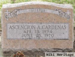 Ascencion Cardenas