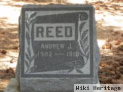 Andrew J Reed