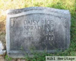 Daisy Rice Spradling