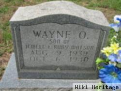 Wayne O. Watson