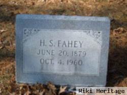 H S Fahey