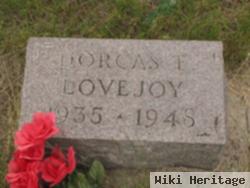 Dorcas E. Lovejoy