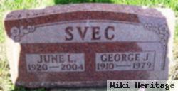 George J Svec