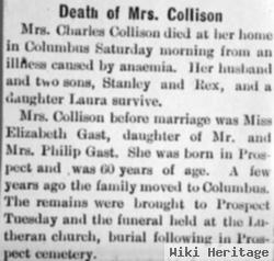 Mary Elizabeth Gast Collison