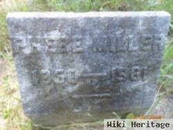 Phebe Miller