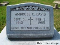 Ambrose C David