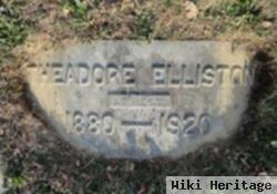 Theodore Elliston