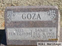 Daniel Webster Goza