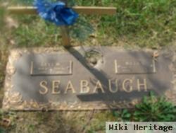 Levi Marvin Seabaugh