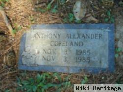 Anthony Alexander Copeland