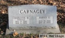 Harvey E. Carnagey