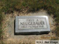 Friedrich A Neugebauer