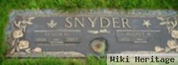 Lester D Snyder