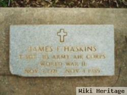 James Frederick Haskins