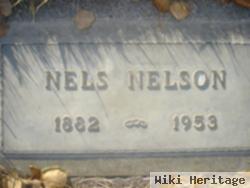 Nels Nelson