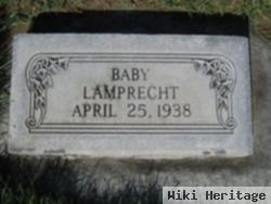 Baby Lamprecht