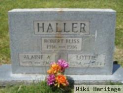 Robert Bliss Haller