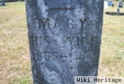 Mary A. "polly" Oaks Skaggs