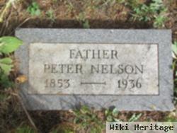 Peter Nelson