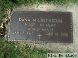 Dana M Linthicum